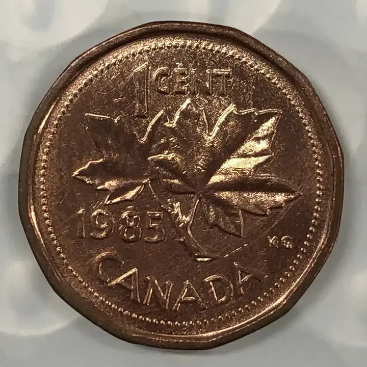 [BUNJANG] 1985 Canada 1 Cent Coin / 1985년 캐나다 1센트 동전 D484