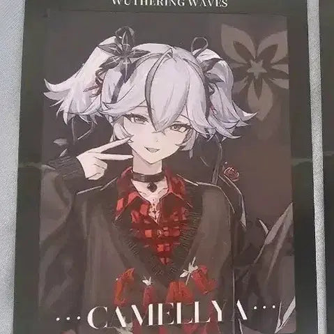 [BUNJANG] Camellia Photocard / 명조 포커스프리즈 특전 카멜리아 판매