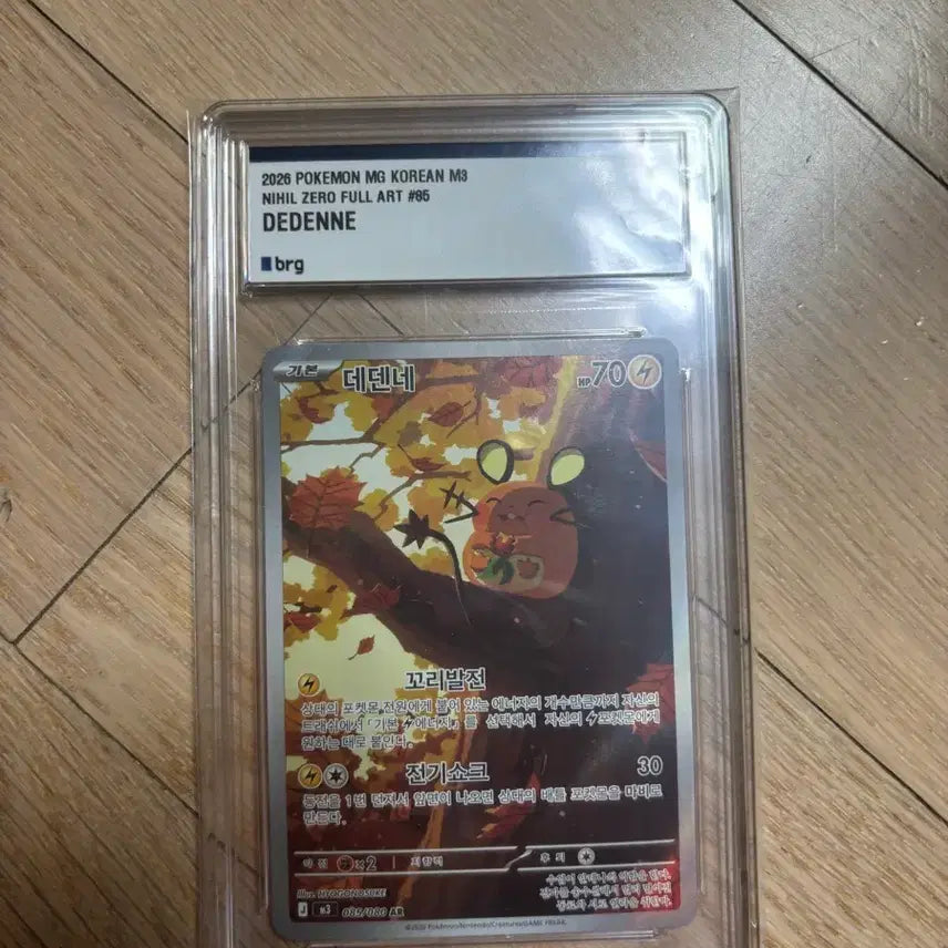 [SOLD OUT] 데덴네ar brg10