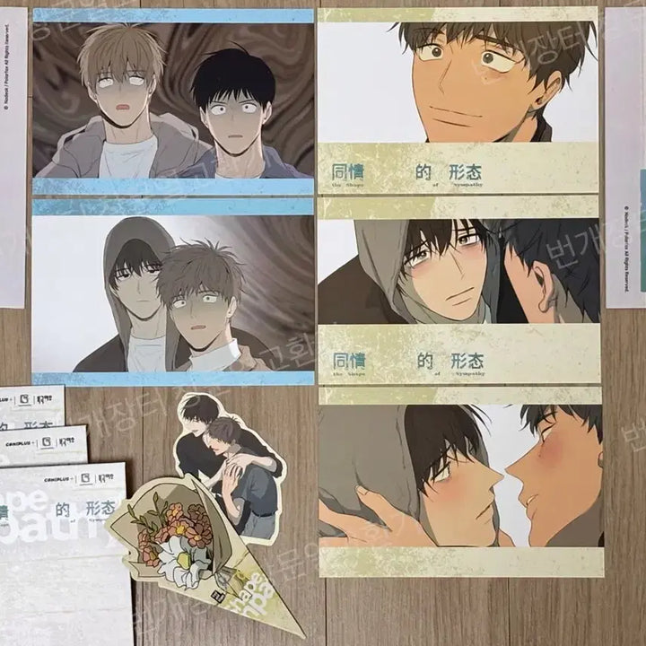 [BUNJANG] The Shape of Virginity COMIPLUS Collaboration Postcard Set &amp; Bouquet Cards / 동정의 형태 COMIPLUS 콜라보 특전 엽서 세트, 꽃다발 카드