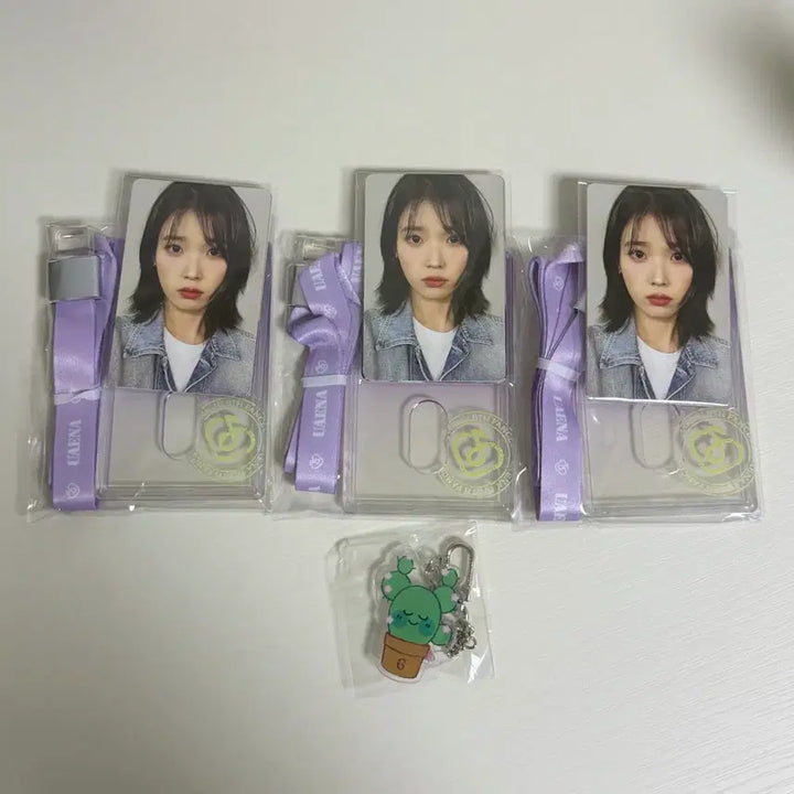 [BUNJANG] IU YooAina 6th Generation Photocard Set, Photocard Holders &amp; Succulent Keyring Bundle / 아이유 유애나 6기 (포카세트,포카홀더3개)(다육이키링1개) 일괄판매
