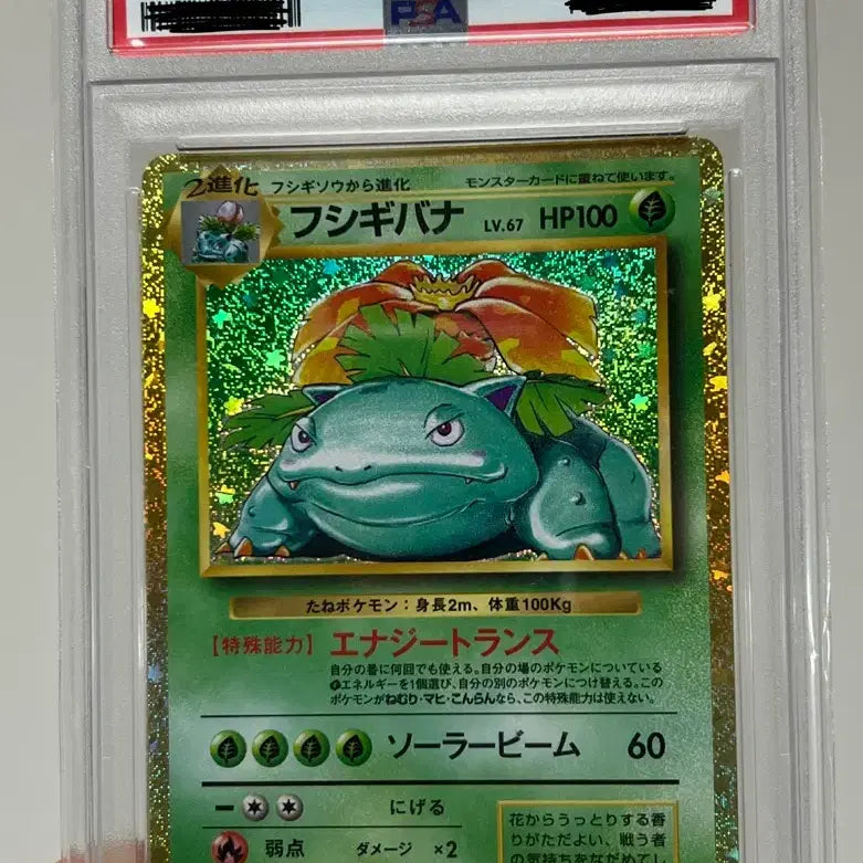 [BUNJANG] Pokemon Card Venusaur PSA 9 Japanese Classic / 포켓몬카드 이상해꽃 psa9 일판