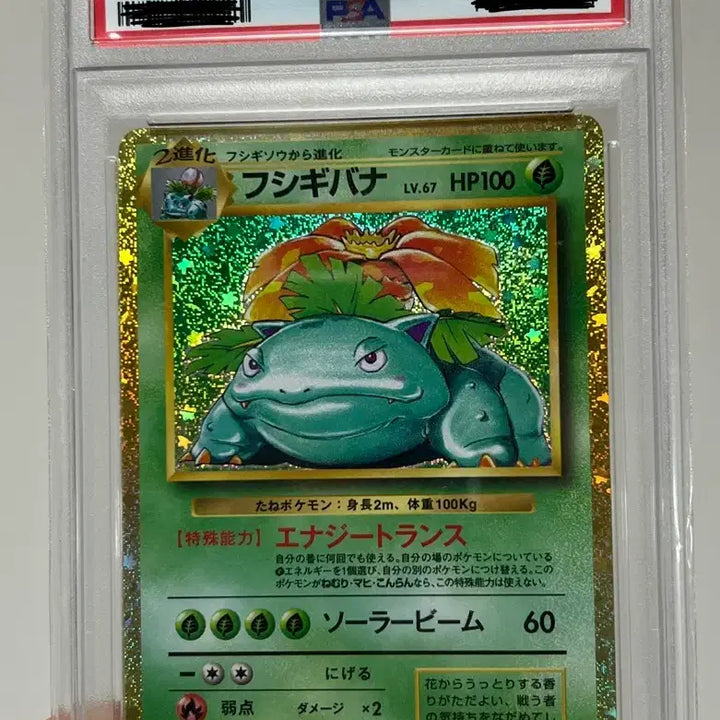 [BUNJANG] Pokemon Card Venusaur PSA 9 Japanese Classic / 포켓몬카드 이상해꽃 psa9 일판