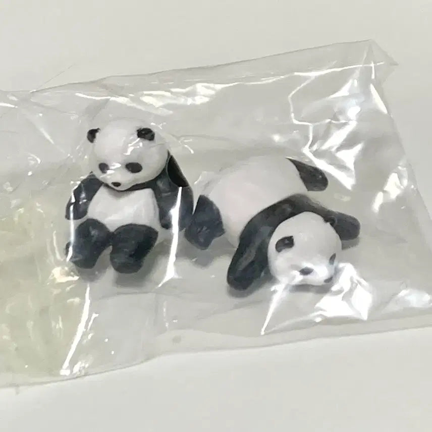 [BUNJANG] Baby Panda Gacha Set / 아기 판다 팬더 가챠