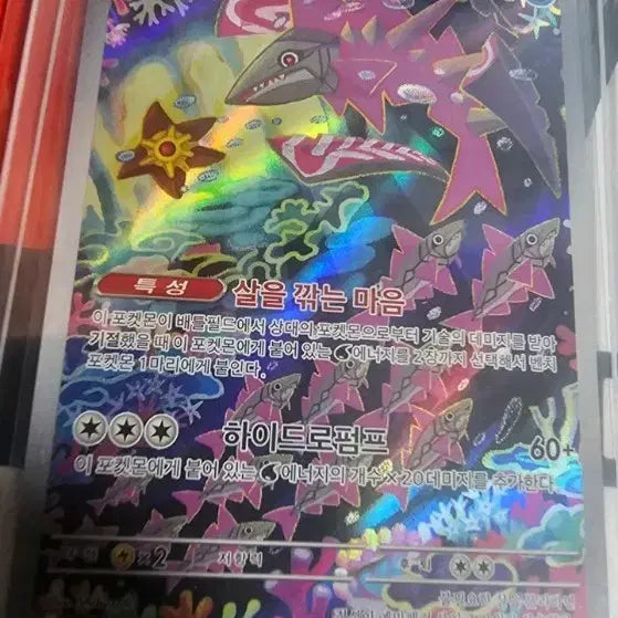 [BUNJANG] Pokemon Card Gabite Special Edition / 포켓몬 카드 가비루사  특일