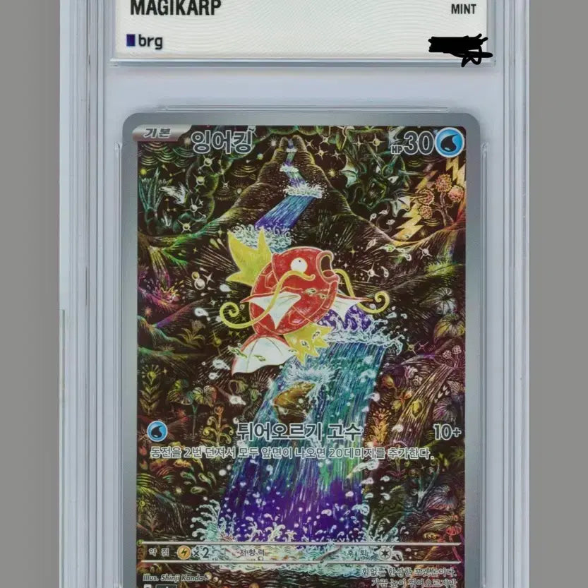 [BUNJANG] 2023 Pokemon S&amp;V Korean SV1A Magikarp AR BRG9 Shinji Kanda Illustration / 포켓몬카드 잉어킹 ar brg9 신지칸다
