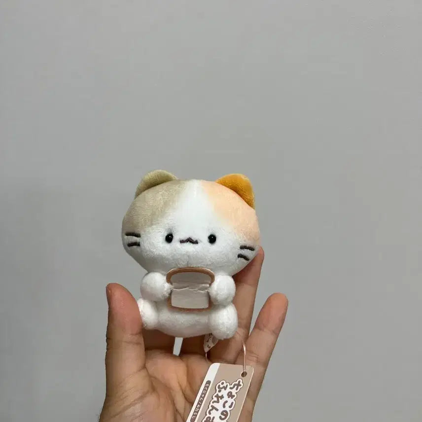 [BUNJANG] Japanese Mochi Bread Cat Plush Toy / 일본 모찌 식빵 고양이 일본 빈티지 인형