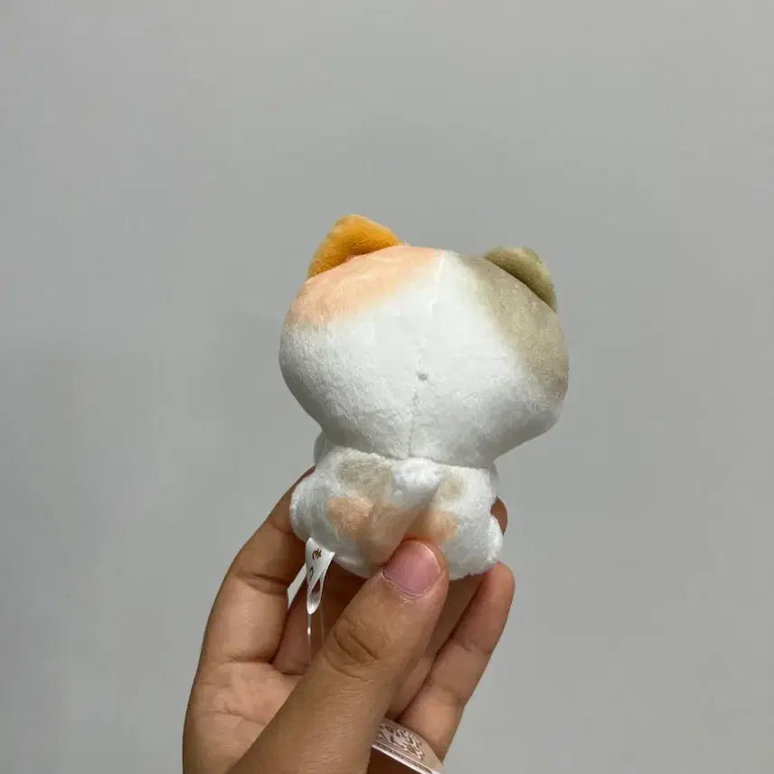 [BUNJANG] Japanese Mochi Bread Cat Plush Toy / 일본 모찌 식빵 고양이 일본 빈티지 인형