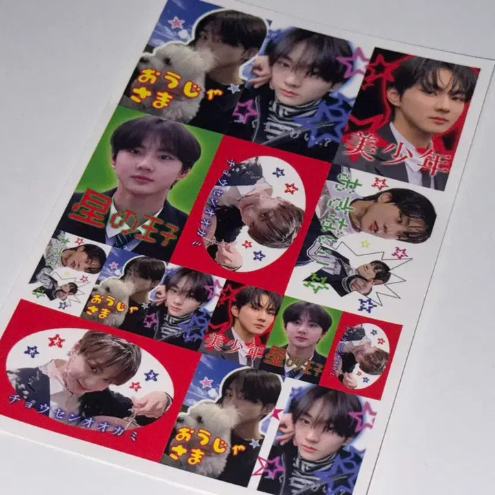 [BUNJANG] ENHYPEN Jungwon Pre-debut Photocards Bundle Set / 엔하이픈 정원 프리쿠라