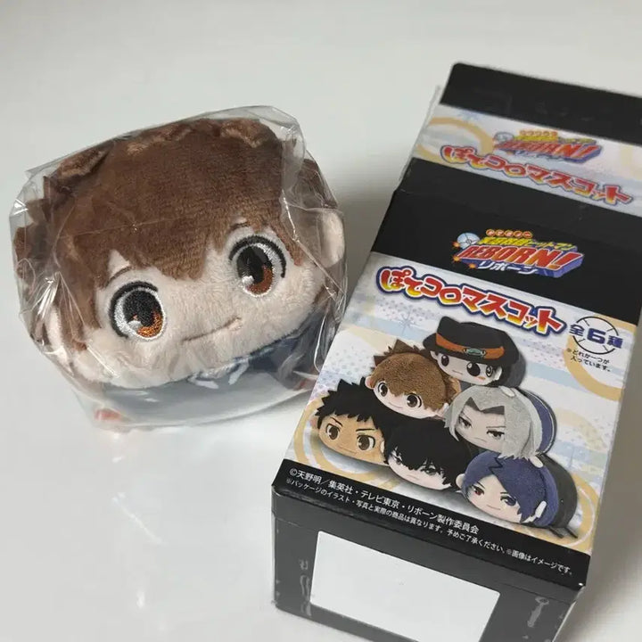 [BUNJANG] Katekyo Hitman Reborn! Tsuna Pottecoro Mascot (Sealed) / 가히리 츠나 포테코로 마스코트 미개봉