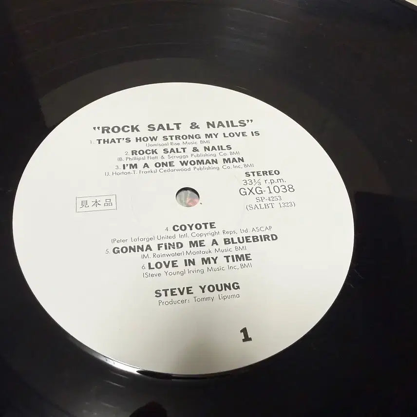 [BUNJANG] Steve Young Rock Salt And Nails Japanese Original Pressing LP (Rare Promo Sample) / (일본 PROMO LP) Steve Young - 일본 초반