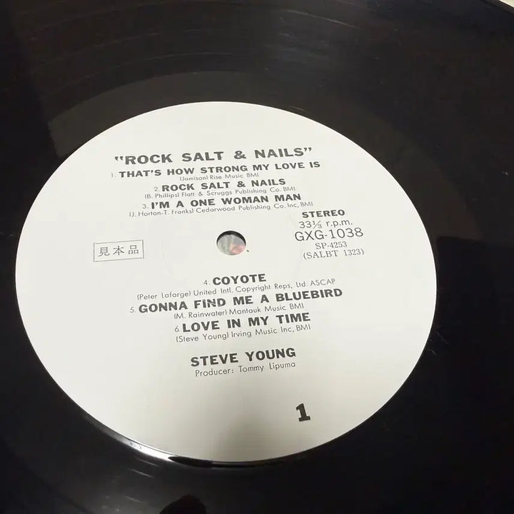 [BUNJANG] Steve Young Rock Salt And Nails Japanese Original Pressing LP (Rare Promo Sample) / (일본 PROMO LP) Steve Young - 일본 초반