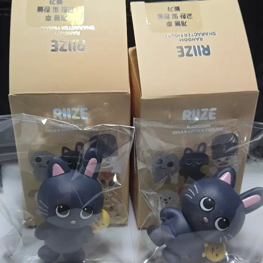 [BUNJANG] RIIZE Riize Ribbonz Random Figure Wonbin / RIIZE 라이즈 리라즈  랜덤 피규어 토냥덕 (원빈)