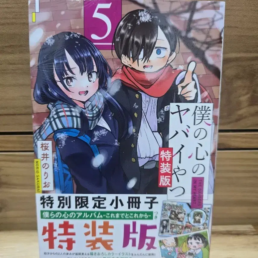[BUNJANG] My Dangerous Girlfriend Vol. 5 Limited Edition Original Edition / 내마음의위험한녀석 한정판 5권 원서 미개봉