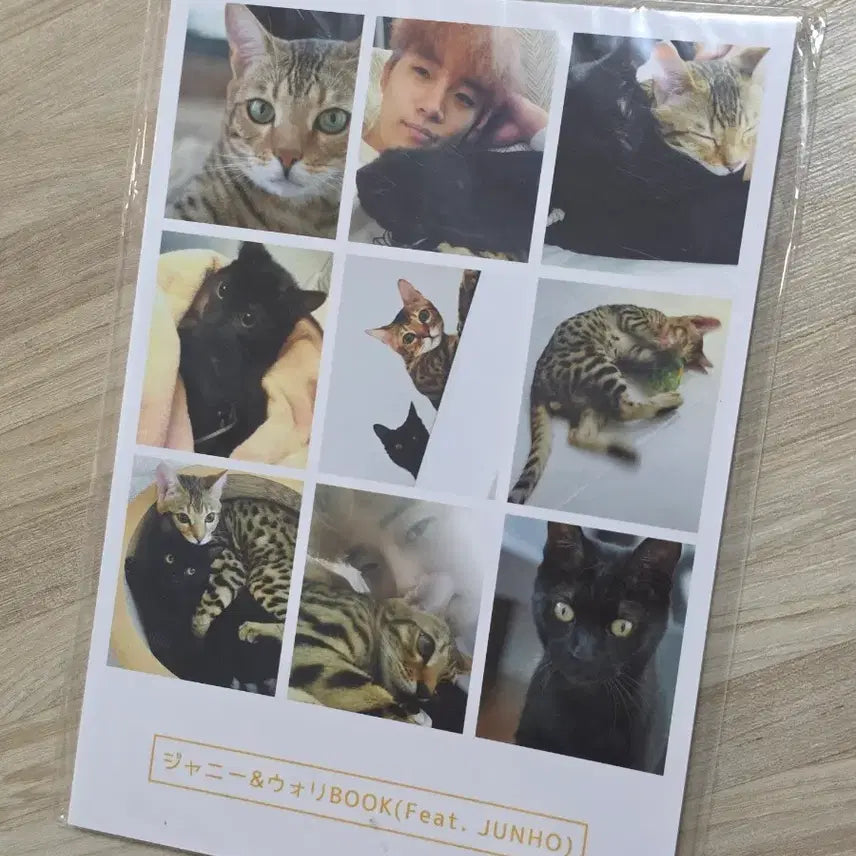 [BUNJANG] 2PM Junho Johnny Walker Photobook Hyper / 2pm 준호 쟈니 월이 포토북 하이퍼 hyper