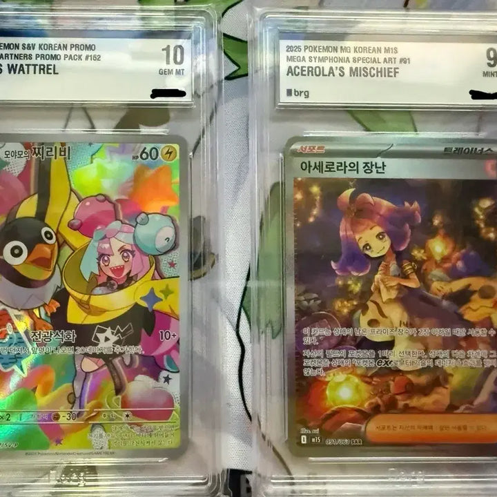 [BUNJANG] Pokemon Card M Moya&