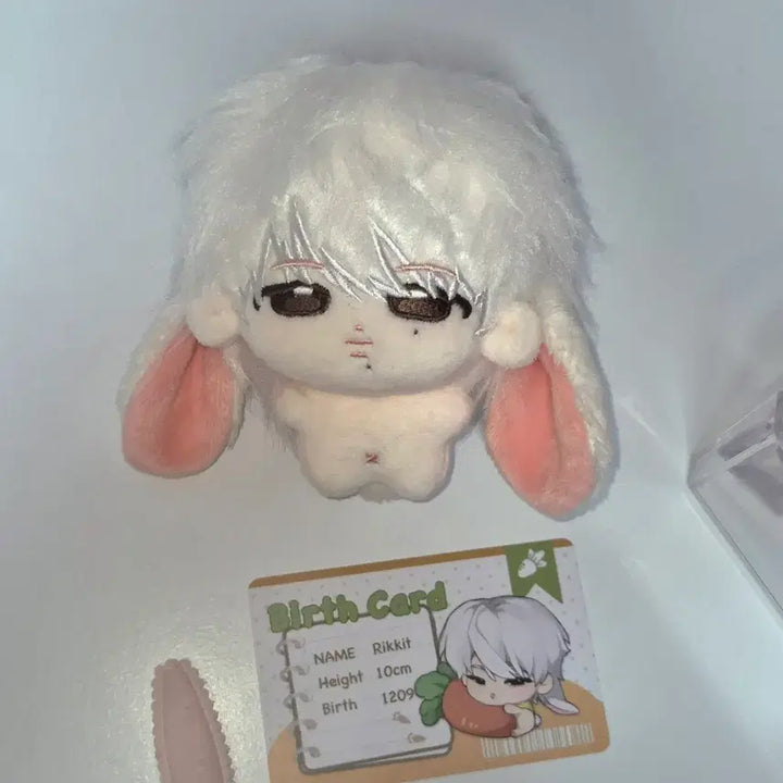[BUNJANG] ENHYPEN Ni-ki Chinese Doll / 니키 엔하이픈 중국 인형 aripaki
