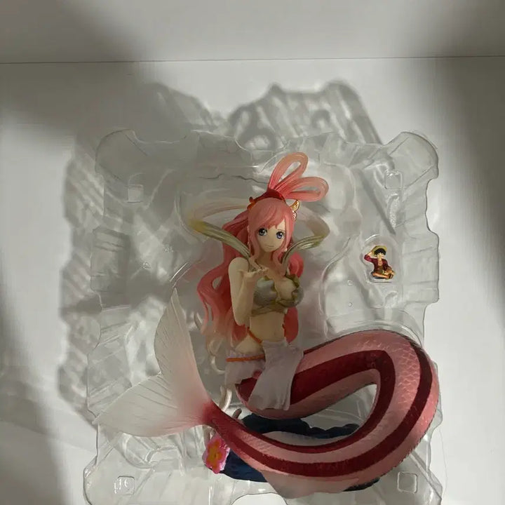 [SOLD OUT] 시라호시 pop