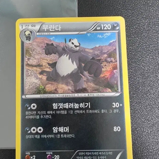 [SOLD OUT] 포켓몬 카드 부란다 R xy3 064