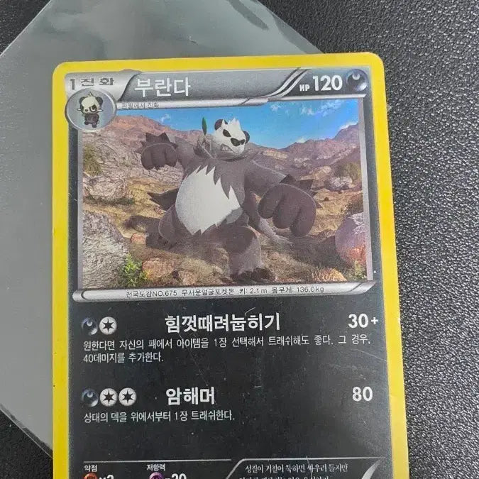 [SOLD OUT] 포켓몬카드 부란다 R xy3 064