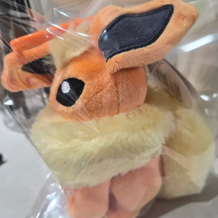 [SOLD OUT] 포켓몬스터 부스터 인형 키링