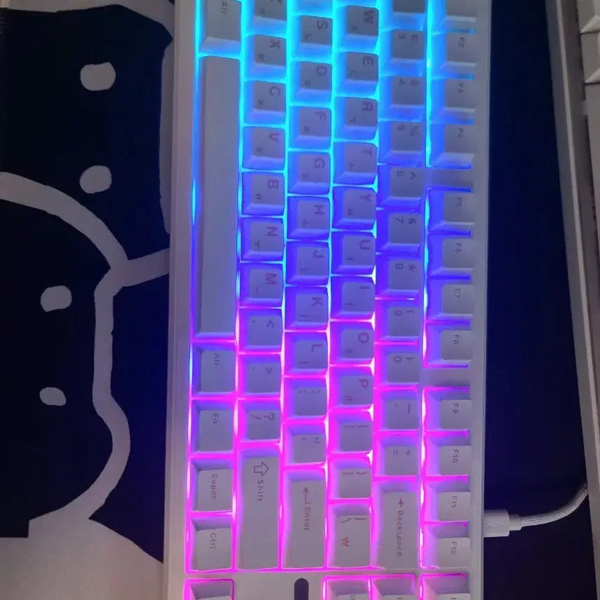 [BUNJANG] Dokkebi F87 Pro Keyboard / 독거미 f87 pro