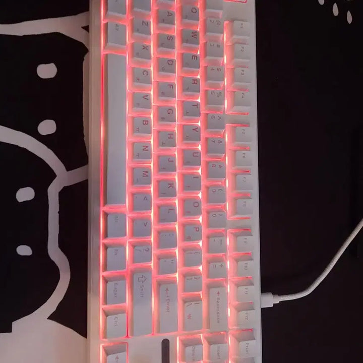 [BUNJANG] Dokkebi F87 Pro Keyboard / 독거미 f87 pro