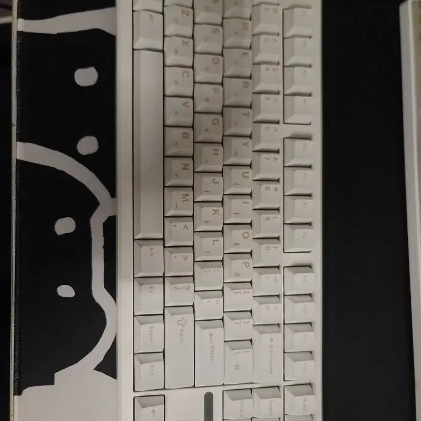 [BUNJANG] Dokkebi F87 Pro Keyboard / 독거미 f87 pro