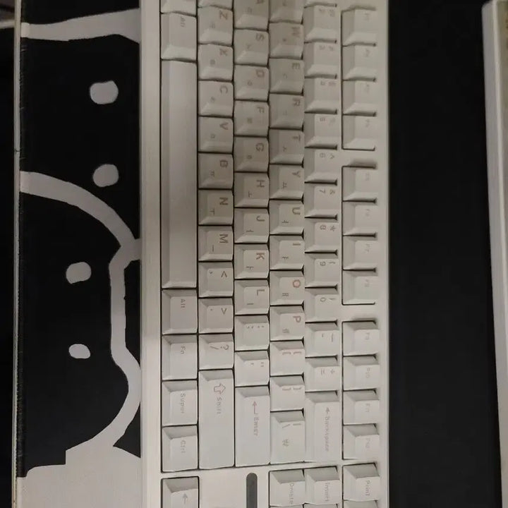 [BUNJANG] Dokkebi F87 Pro Keyboard / 독거미 f87 pro
