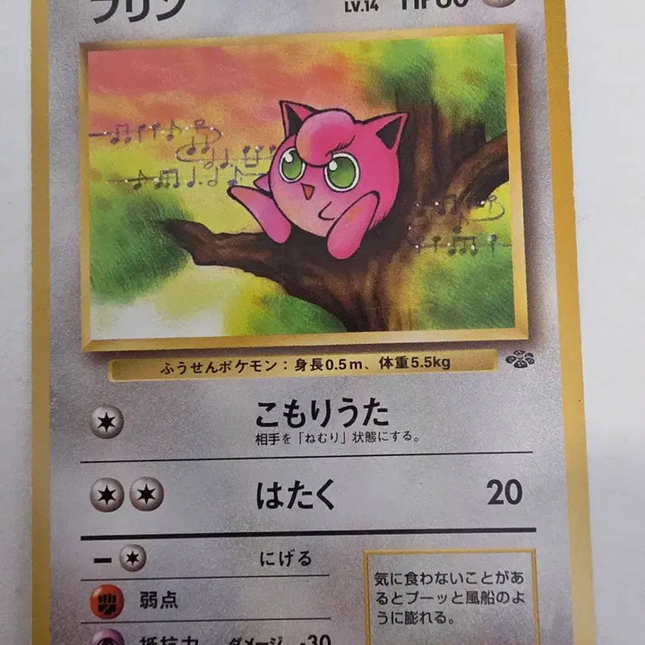[SOLD OUT] 포켓몬카드 1996 초기 푸린