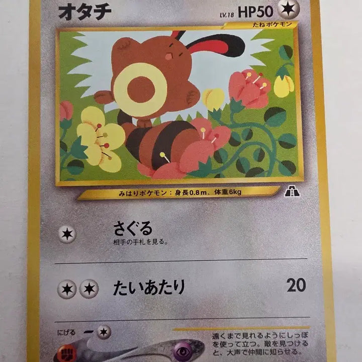 [SOLD OUT] 포켓몬카드 1996 초기