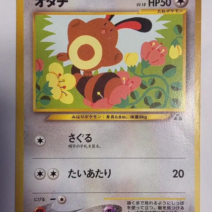 [BUNJANG] Pokemon Card 1996 Initial Set / 포켓몬카드 1996 초기