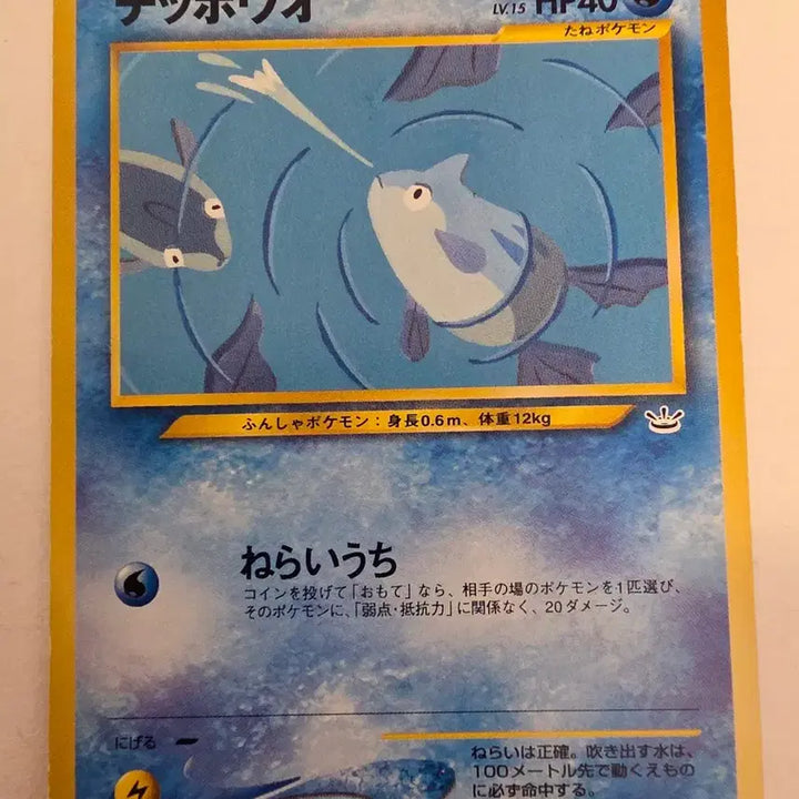 [SOLD OUT] 포켓몬카드 1996 초기