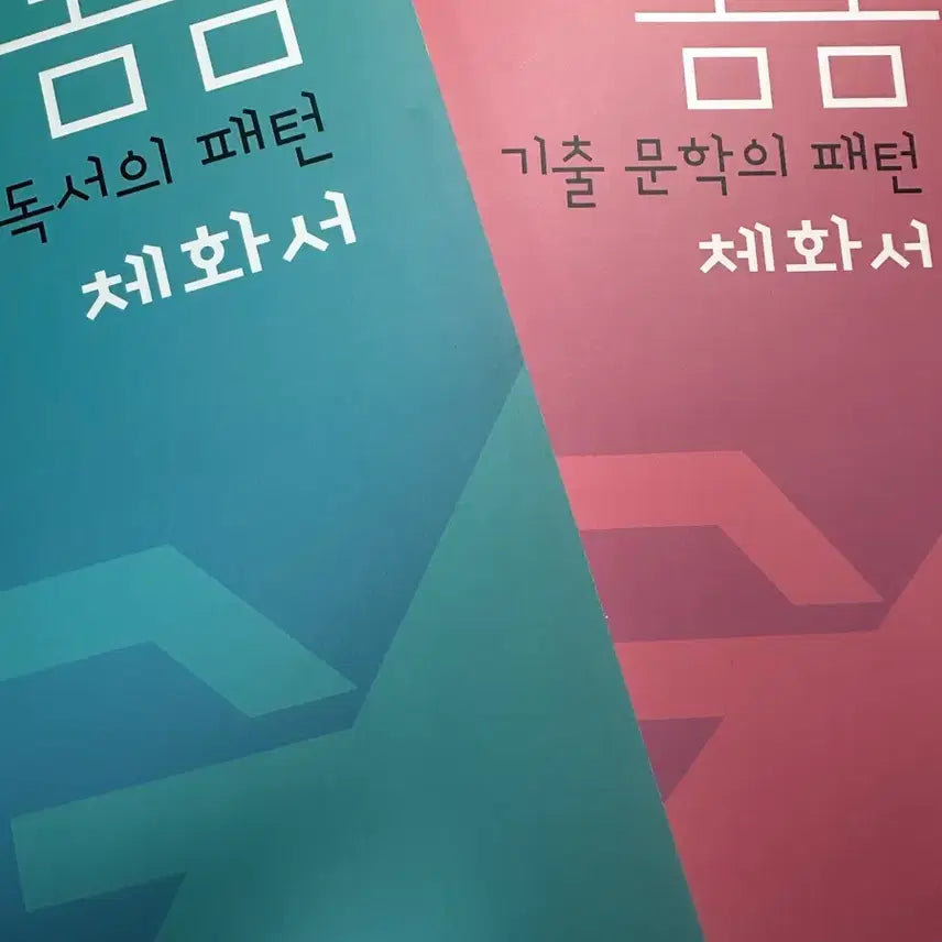 [BUNJANG] Daesung MyMac Kim Jemma T Spring Literature &amp; Reading Pattern Embodiment Book / 대성마이맥 김젬마 T 봄봄 문학,독서 패턴 체화서