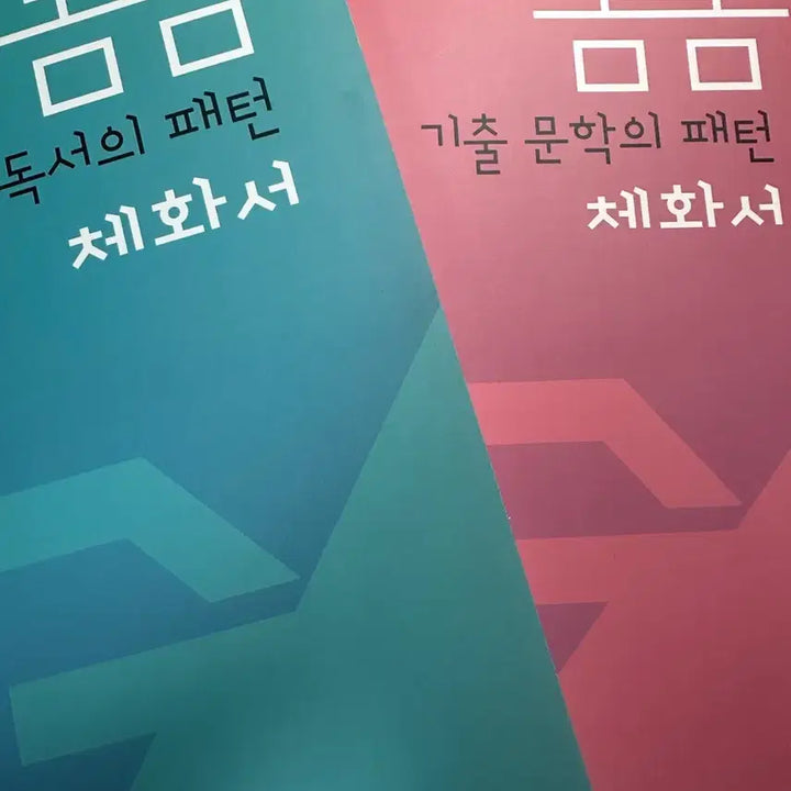 [BUNJANG] Daesung MyMac Kim Jemma T Spring Literature &amp; Reading Pattern Embodiment Book / 대성마이맥 김젬마 T 봄봄 문학,독서 패턴 체화서