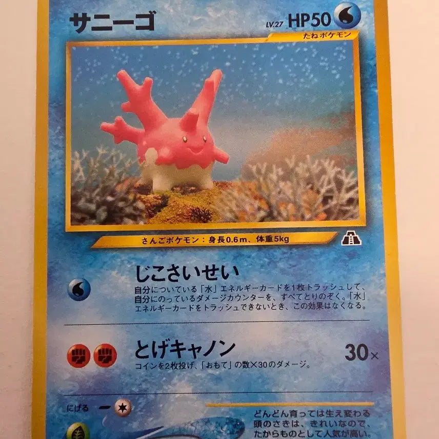 [SOLD OUT] 포켓몬카드 1996 초기