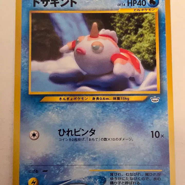 [SOLD OUT] 포켓몬카드 1996 초기