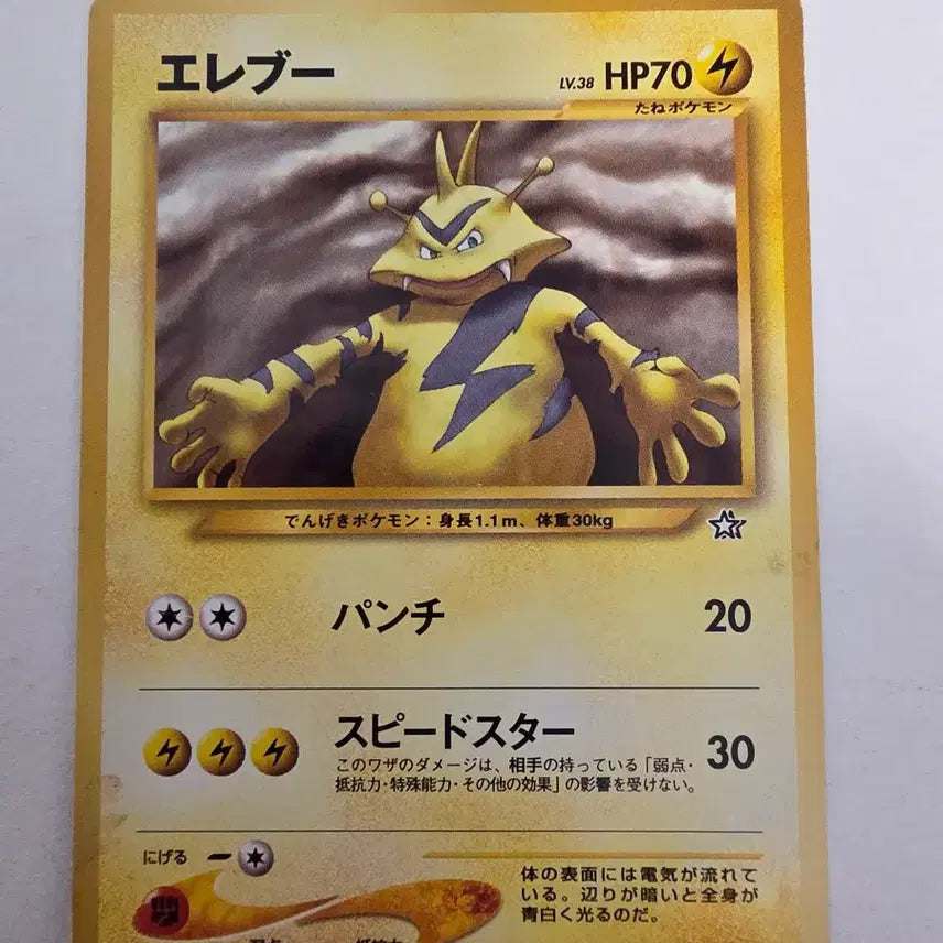 [BUNJANG] Pokemon Card 1996 Initial Ereb / 포켓몬카드 1996 초기 에레브