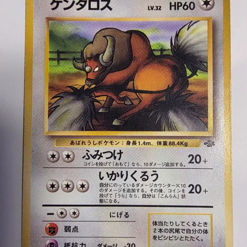 [BUNJANG] Pokemon Card 1996 Early Edition / 포켓몬카드 1996 초기