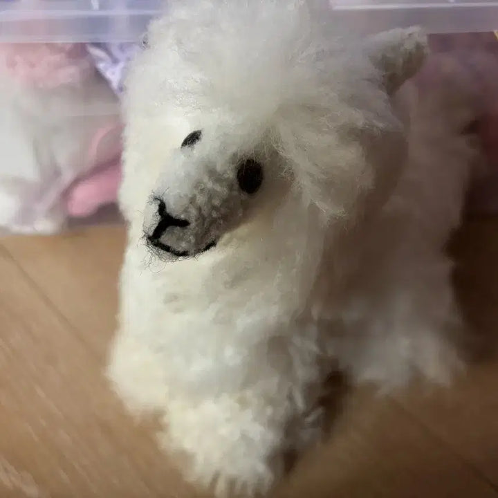 [BUNJANG] Llama Plush Doll / 라마인형