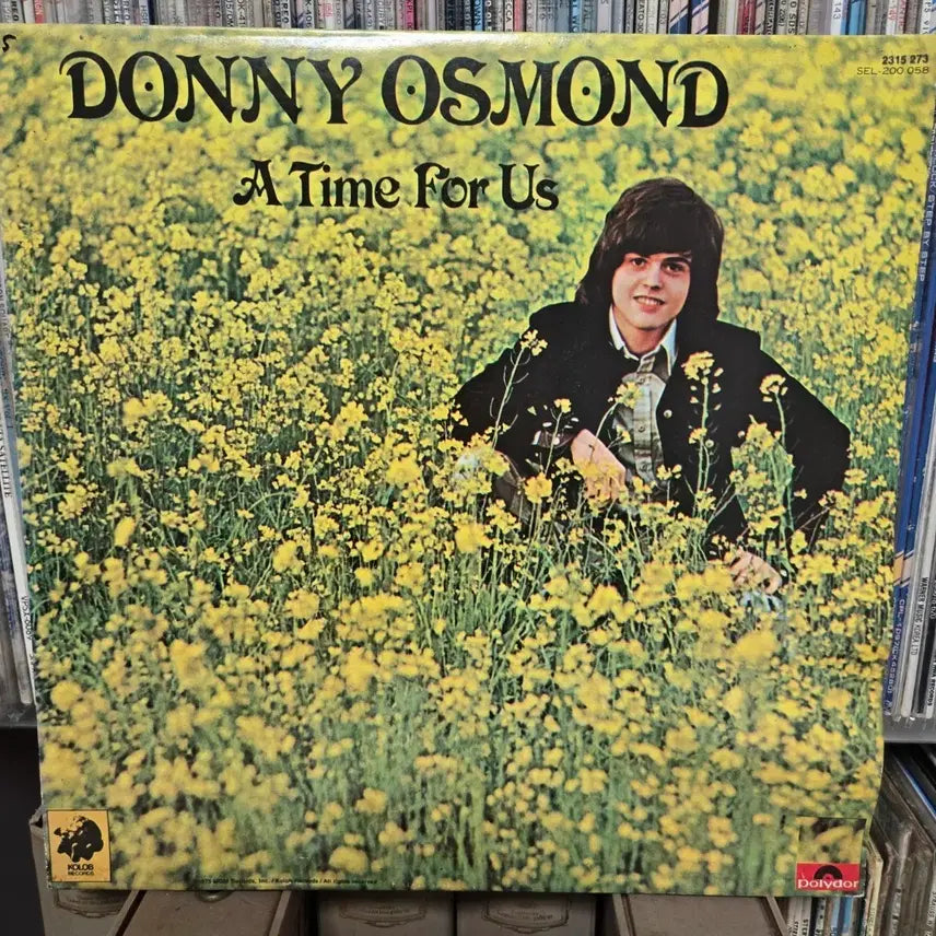 [BUNJANG] Donny Osmond A Time For Us LP Vinyl / 도니 오스몬드 A Time For Us LP판 민트급