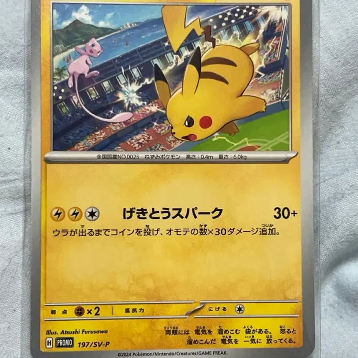 [BUNJANG] Pokemon Pikachu vs. Mew Gym Promo (Japanese) / 포켓몬스터 피카츄vs  뮤 짐 프로모 (일판)