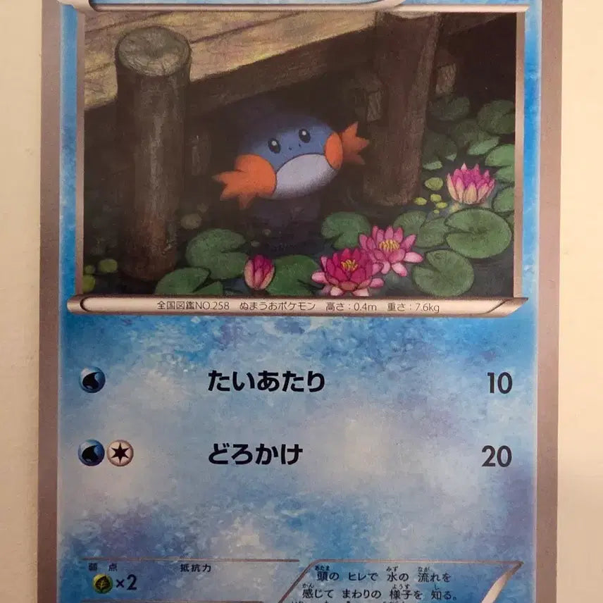 [BUNJANG] Vintage Japanese Pokemon Card 2013 Mudkip / 빈티지)포켓몬카드 일판 2013 물짱이