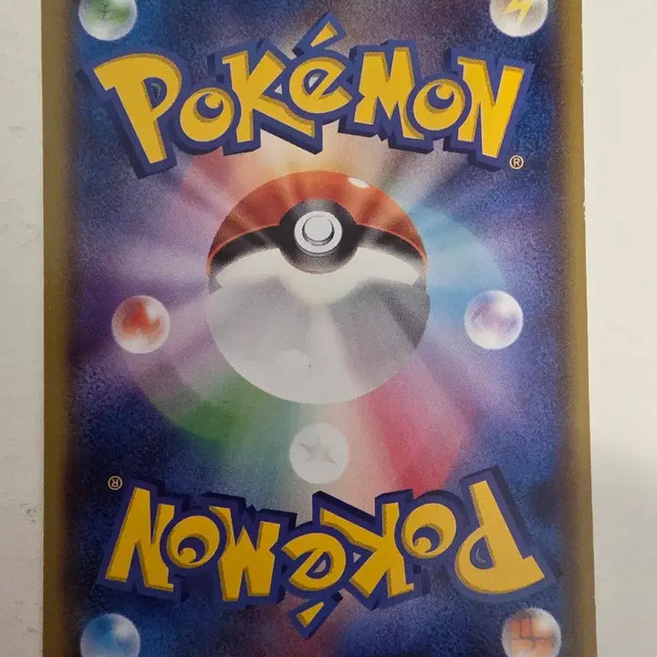 [BUNJANG] Vintage Japanese Pokemon Card 2013 Mudkip / 빈티지)포켓몬카드 일판 2013 물짱이