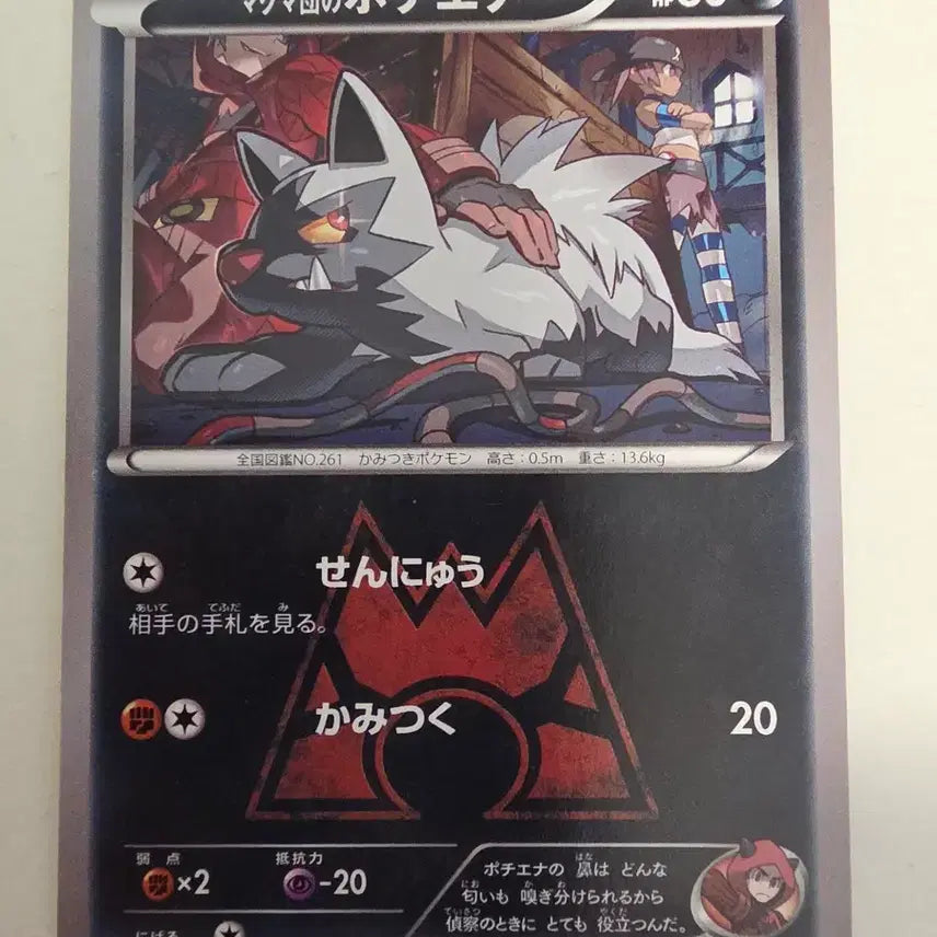 [BUNJANG] Vintage Japanese Pokemon Card Mightyena / 빈티지)포켓몬카드 일판 마그마단의 포치에나