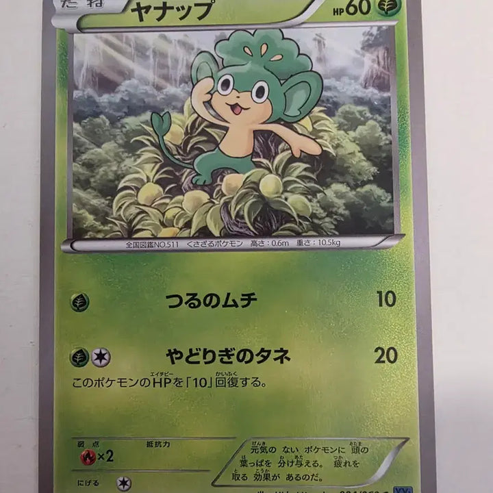 [BUNJANG] Vintage 2013 Japanese Yanap Pokémon Card / 빈티지)포켓몬카드 일판 2013 야나프