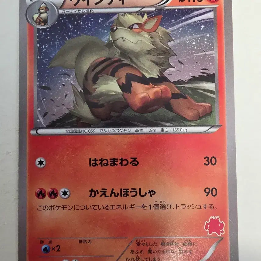 [BUNJANG] Vintage Japanese Pokemon Card - 2013 Arcanine / 빈티지)포켓몬카드 일판 2013 윈디