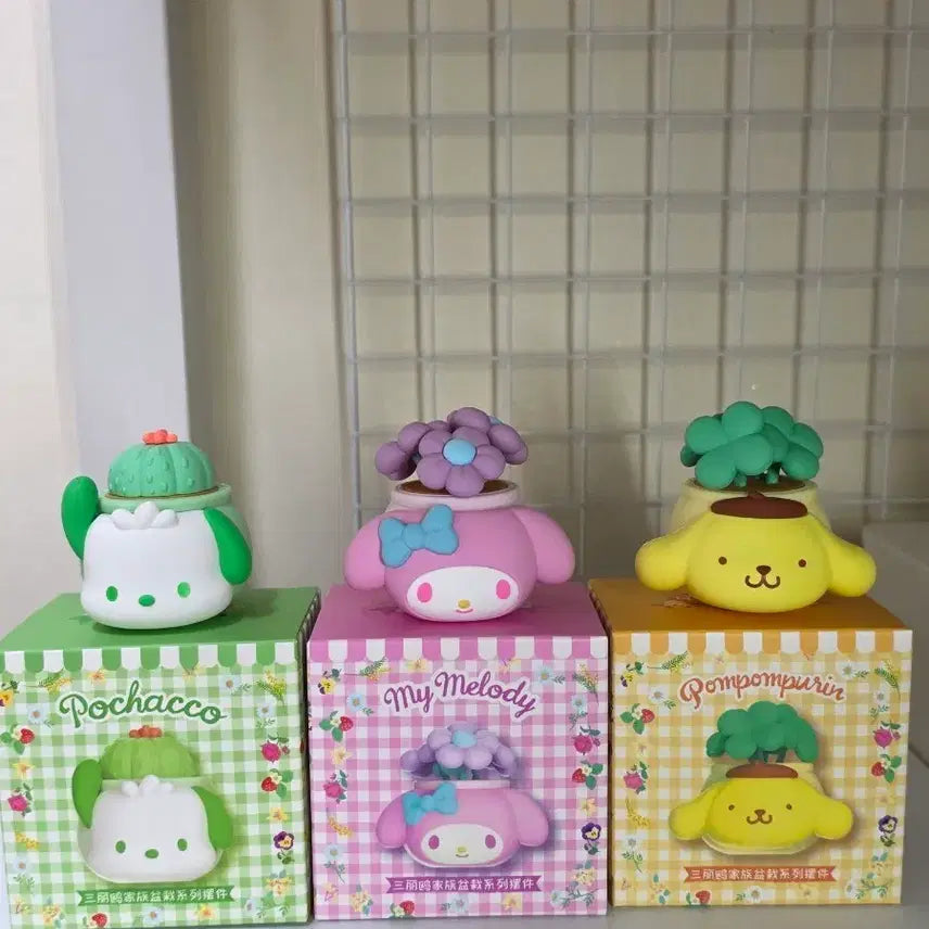 [BUNJANG] Sanrio Characters Potted Plants Set - Pochacco, My Melody, Pompompurin (Sealed) / [미개봉] 산리오 캐릭터 화분 - 포차코/마이멜로디/폼폼푸린