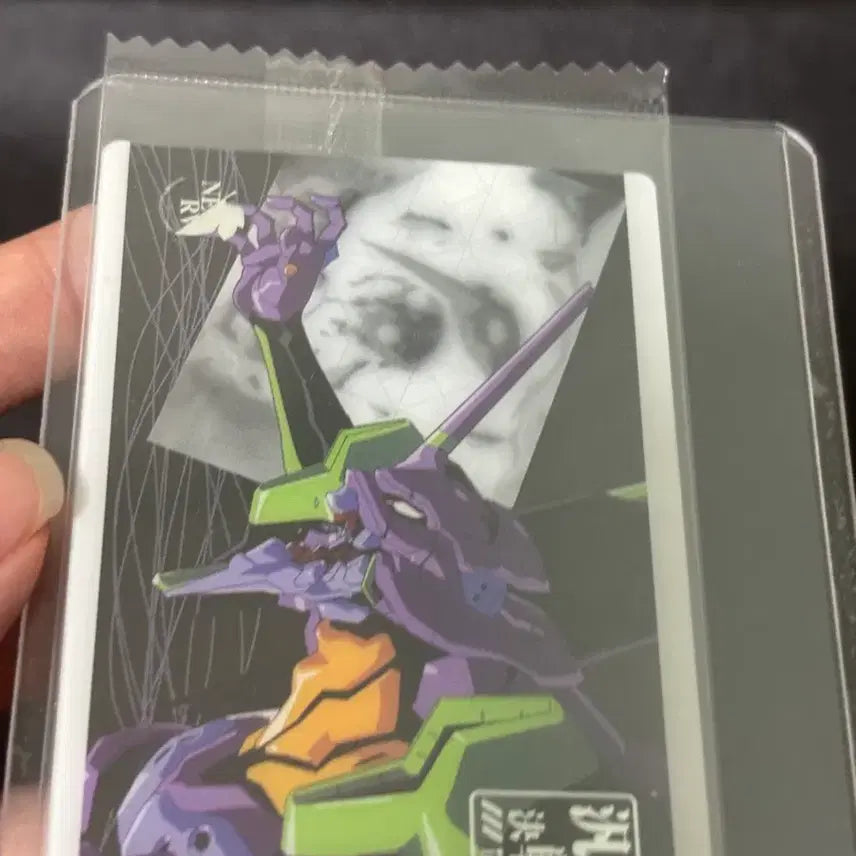 [BUNJANG] Evangelion Wafer Card Collection / 에반게리온 웨하스 카드