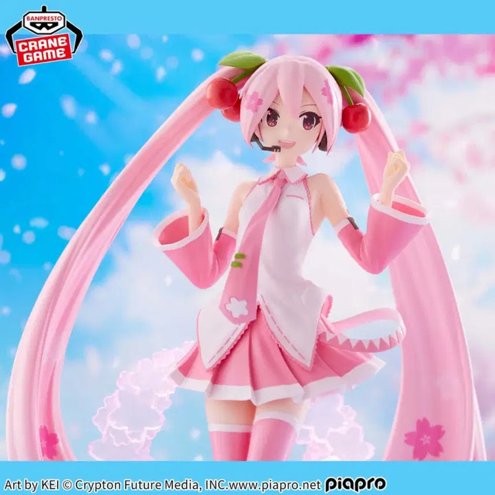 [BUNJANG] Banpresto Hatsune Miku EVOLVE Sakura Miku Figure (Sealed) / 미개봉)반프레스토 하츠네 미쿠 EVOLVE 사쿠라 미쿠 피규어